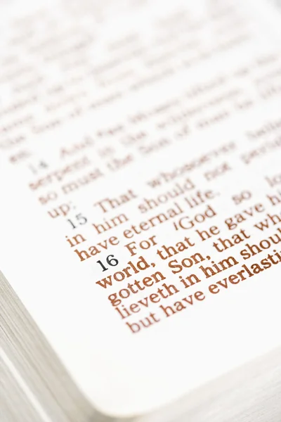 Bíblia Sagrada . — Fotografia de Stock
