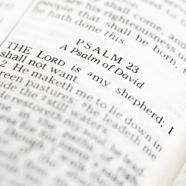 Szent Biblia-Zsoltárok. — Stock Fotó