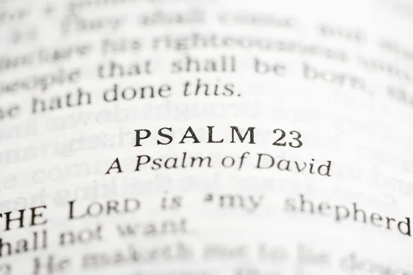 Žalm Davidův. — Stock fotografie