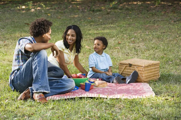 Сімейний пікнік у парку . Стокове Фото