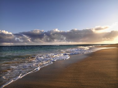 Maui Hawaii beach