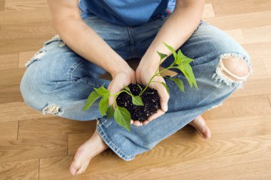 Man holding plant. clipart