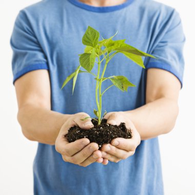 Man holding plant. clipart