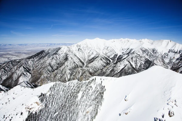 Verschneite Berglandschaft, colorado. — Stockfoto