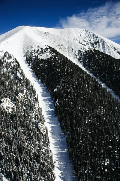 눈덮인 산봉우리 — 스톡 사진