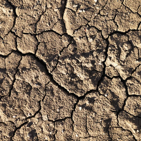 Cracked Mud — Stock Photo, Image