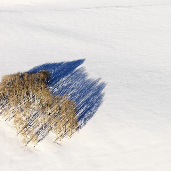 Antenn av snöiga landskap i colorado. — Stockfoto