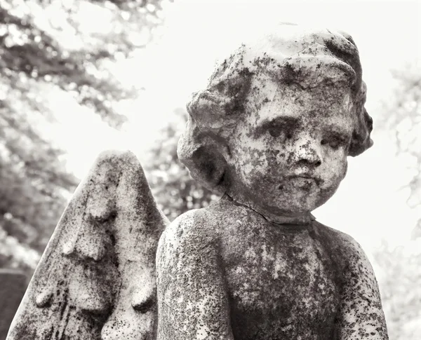 Cherub staty på kyrkogård — Stockfoto