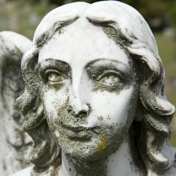 Close-up da estátua — Fotografia de Stock
