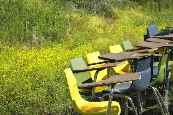 Old school chairs in field. — Stock Photo, Image