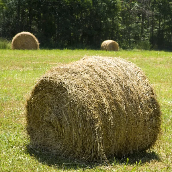 Сено-тюк на траве — стоковое фото