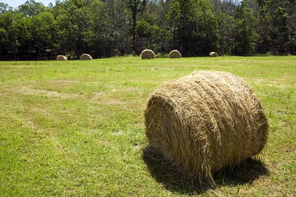 Hay bale in field. — Stock Photo, Image