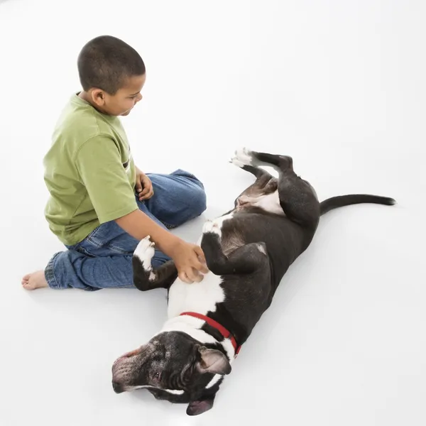Boy petting pet dog — Stock Photo, Image