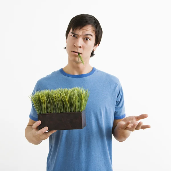 Man holding pot of grass. — Stock Photo, Image