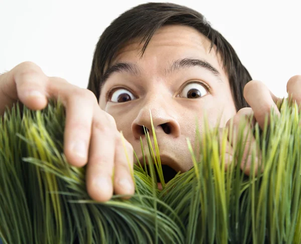 Uomo sorpreso dietro l'erba . — Foto Stock