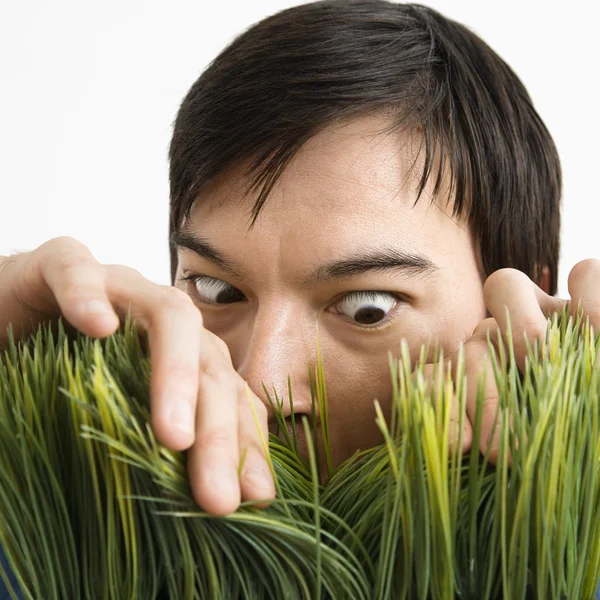 Hombre mirando a través de hierba . —  Fotos de Stock