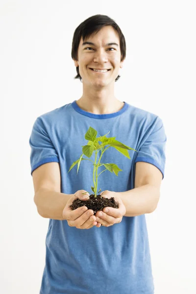 Усміхнений чоловік тримає рослину . — стокове фото