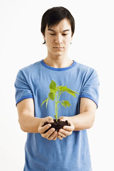 Mann hält Pflanze. — Stockfoto