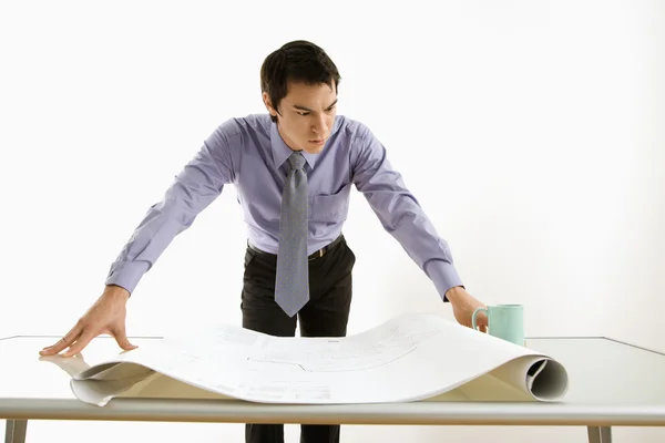 Businessman looking at plans. — Stock Photo, Image