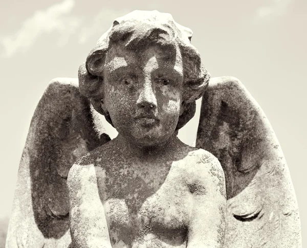 Черуб з крилами статуя . Ліцензійні Стокові Фото