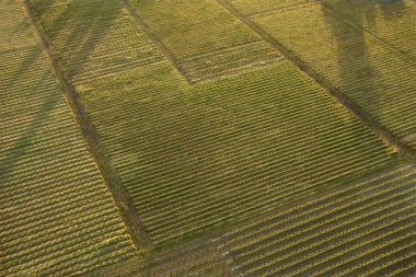 Aerial of crops. clipart