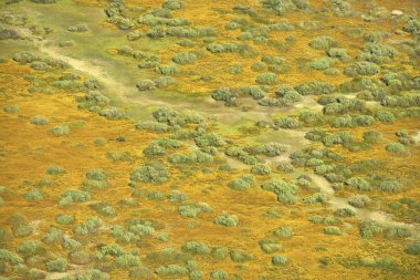 Aerial prairie landscape. clipart