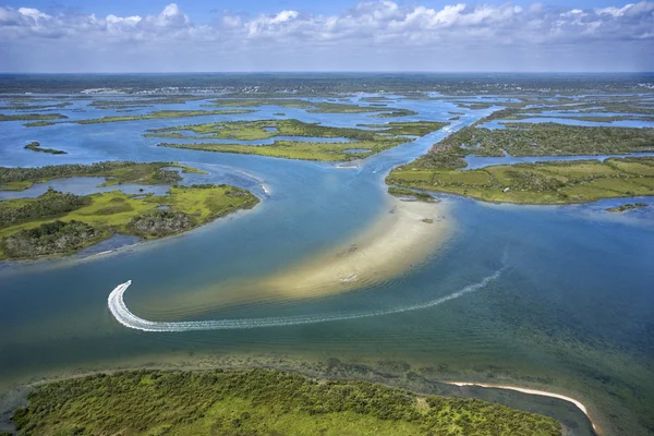Coastal wetland marsh. — Stock Photo, Image