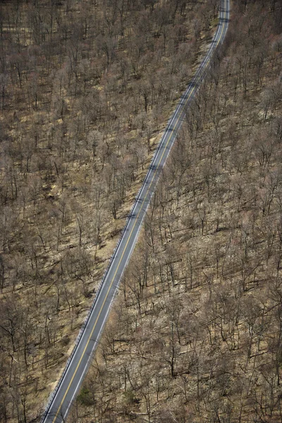 Rural road. — Stock Photo, Image