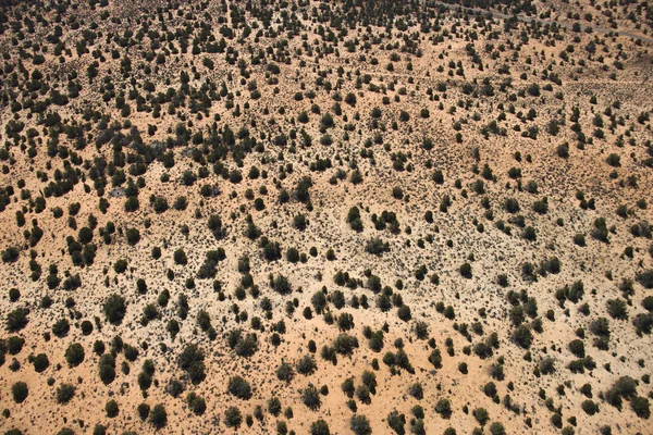Krajobraz pustynny. — Zdjęcie stockowe