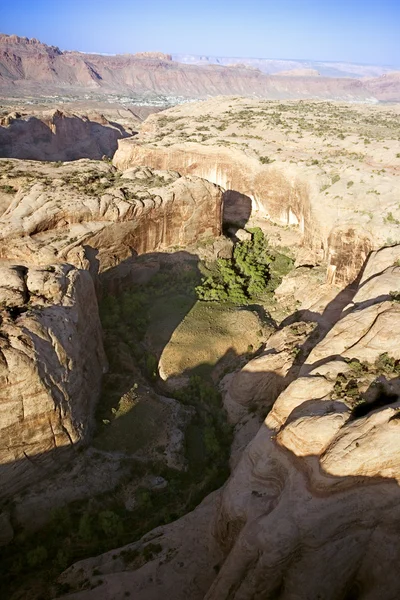 Пустынная антенна . — стоковое фото