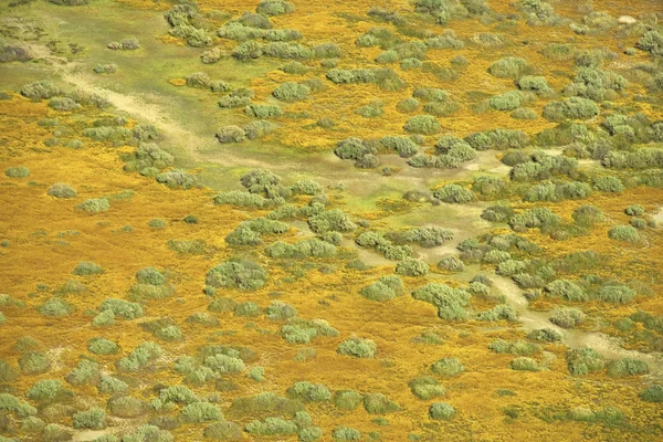 Luchtfoto prairie landschap. — Stockfoto