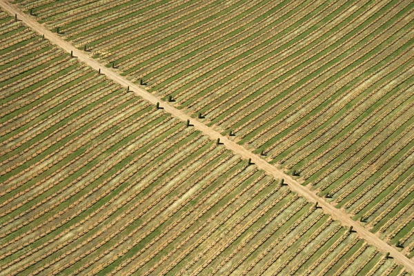 Farm aerial. — Stock Photo, Image