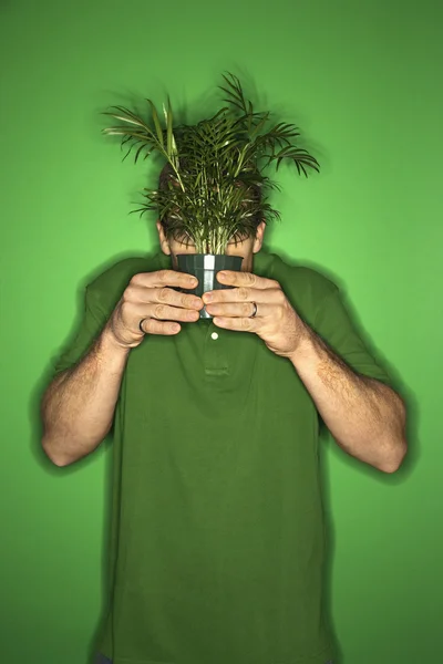 Uomo nascosto dietro la pianta . — Foto Stock