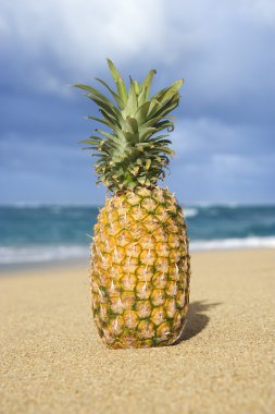 ananas tropikal plaj.