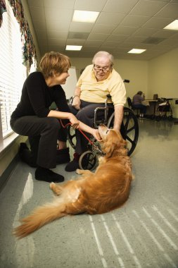 Elderly Man with Woman Petting Dog clipart