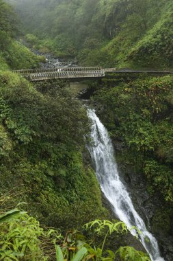 Waterfall in Maui, Hawaii. clipart