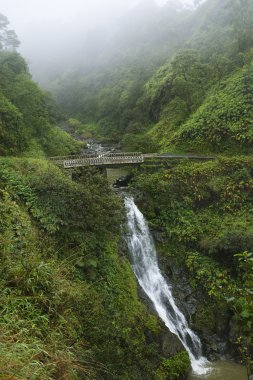 Waterfall in Maui, Hawaii. clipart