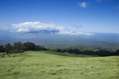 poli-poli, daha içerilere maui, hawaii.