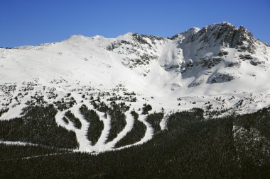 Ski resort trails on mountain. clipart