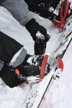 Person strapping on snowboard. clipart