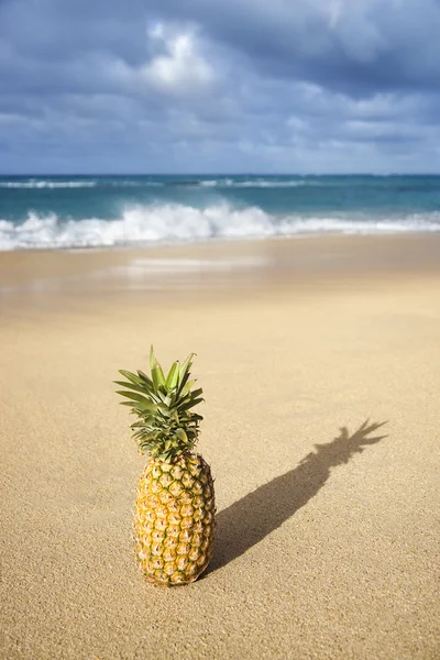 Ananas tropikal plaj. — Stok fotoğraf