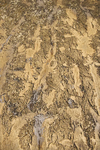 Dry textured dirt. — Stock Photo, Image