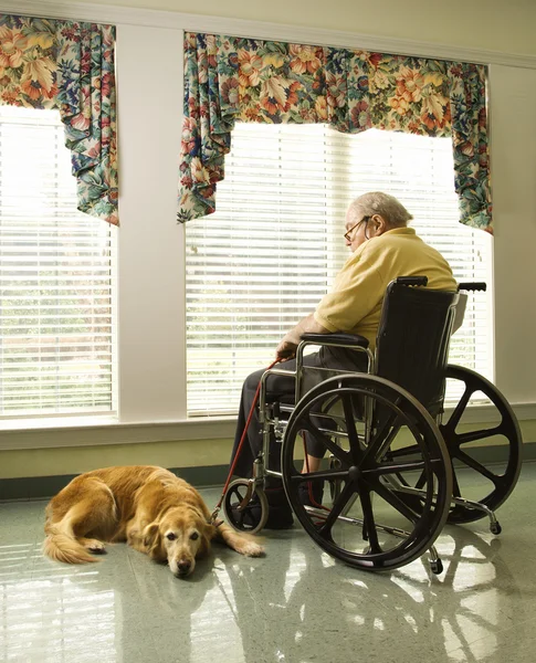 Пожилой человек в инвалидном кресле и собака — стоковое фото
