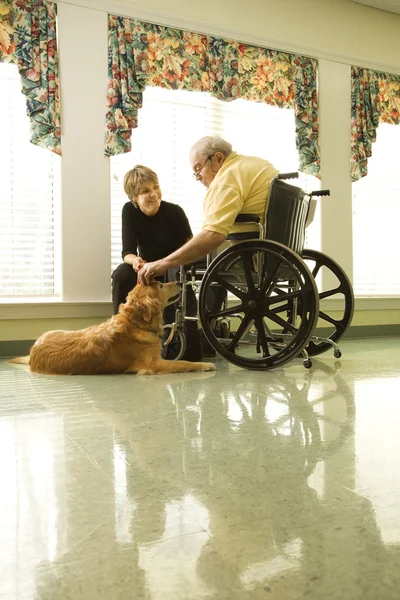 Starszy mężczyzna z kobietą pieszczoty pies — Zdjęcie stockowe