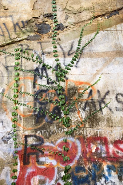 Graffiti na zdi. — Stock fotografie