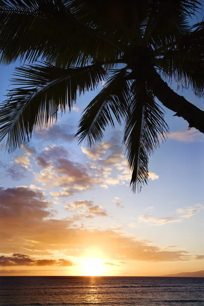 Tramonto sull'oceano a Maui . — Foto Stock