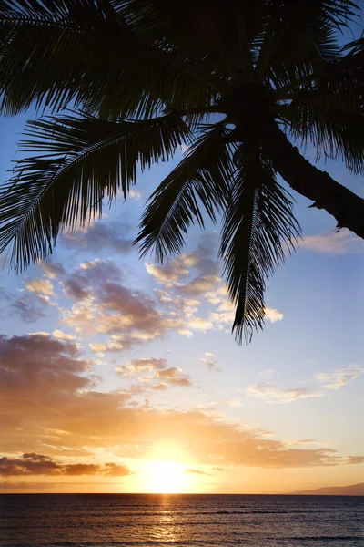 stock image Ocean sunset in Maui.