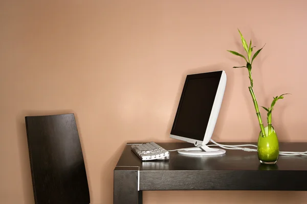Computer on Table with Bamboo Plant — Stock Photo, Image