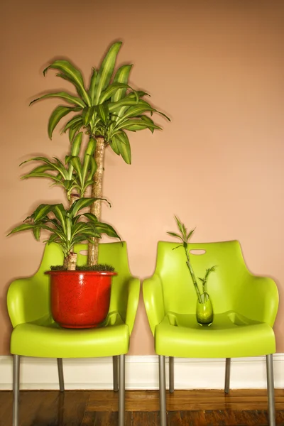 Dvě zelené plastové židle s rostlinami — Stock fotografie