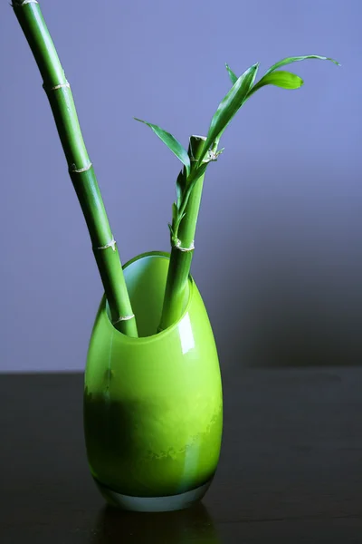 Glücklicher Bambus in grüner Glasvase — Stockfoto